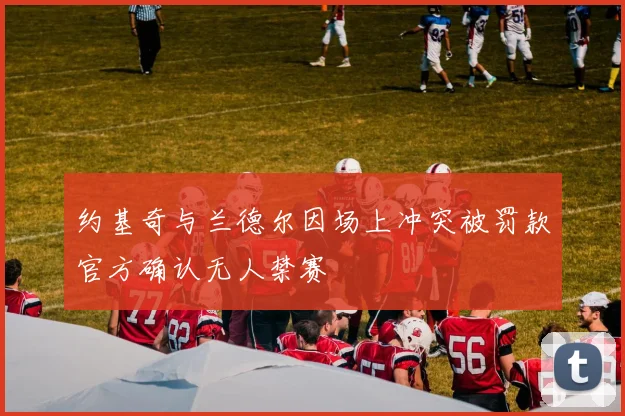 约基奇与兰德尔因场上冲突被罚款官方确认无人禁赛